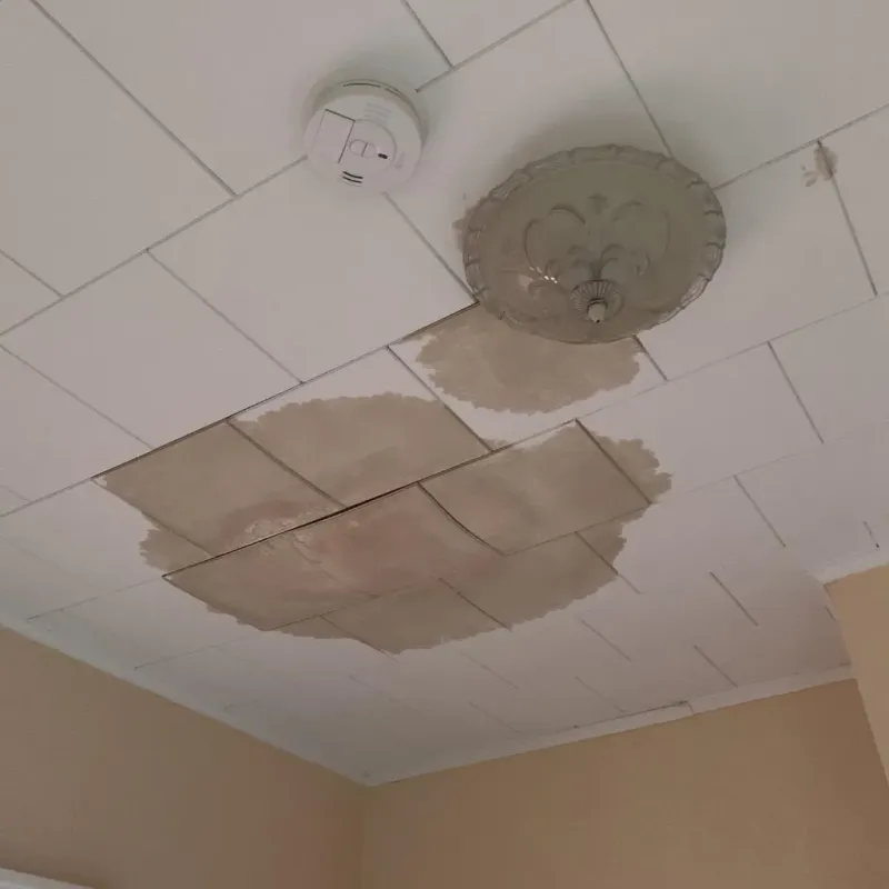Ceiling Water Damage Repair in Mequon, WI