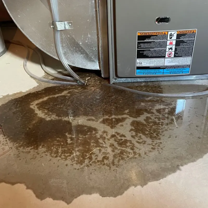 Pipe Burst and Leak Restoration in Mequon, WI